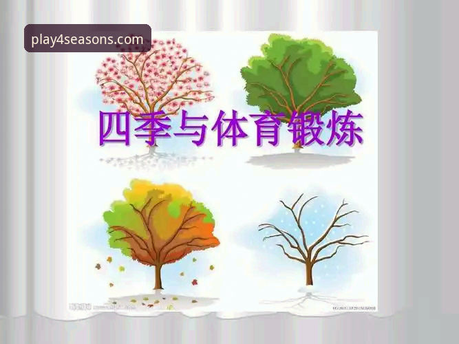 四季体育平台功能详解与使用体验